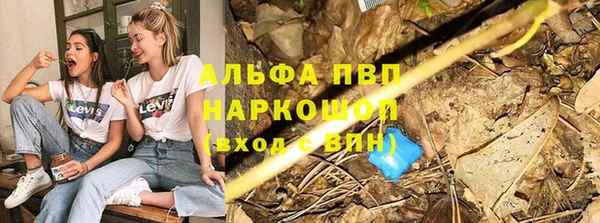мяу мяу мука Белокуриха