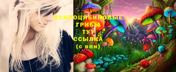 мяу мяу мука Белокуриха