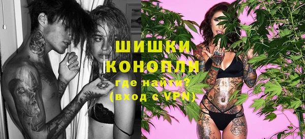 мяу мяу мука Белокуриха